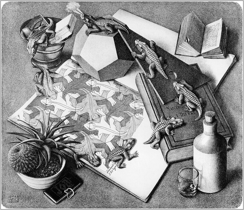 Crocodylous still life