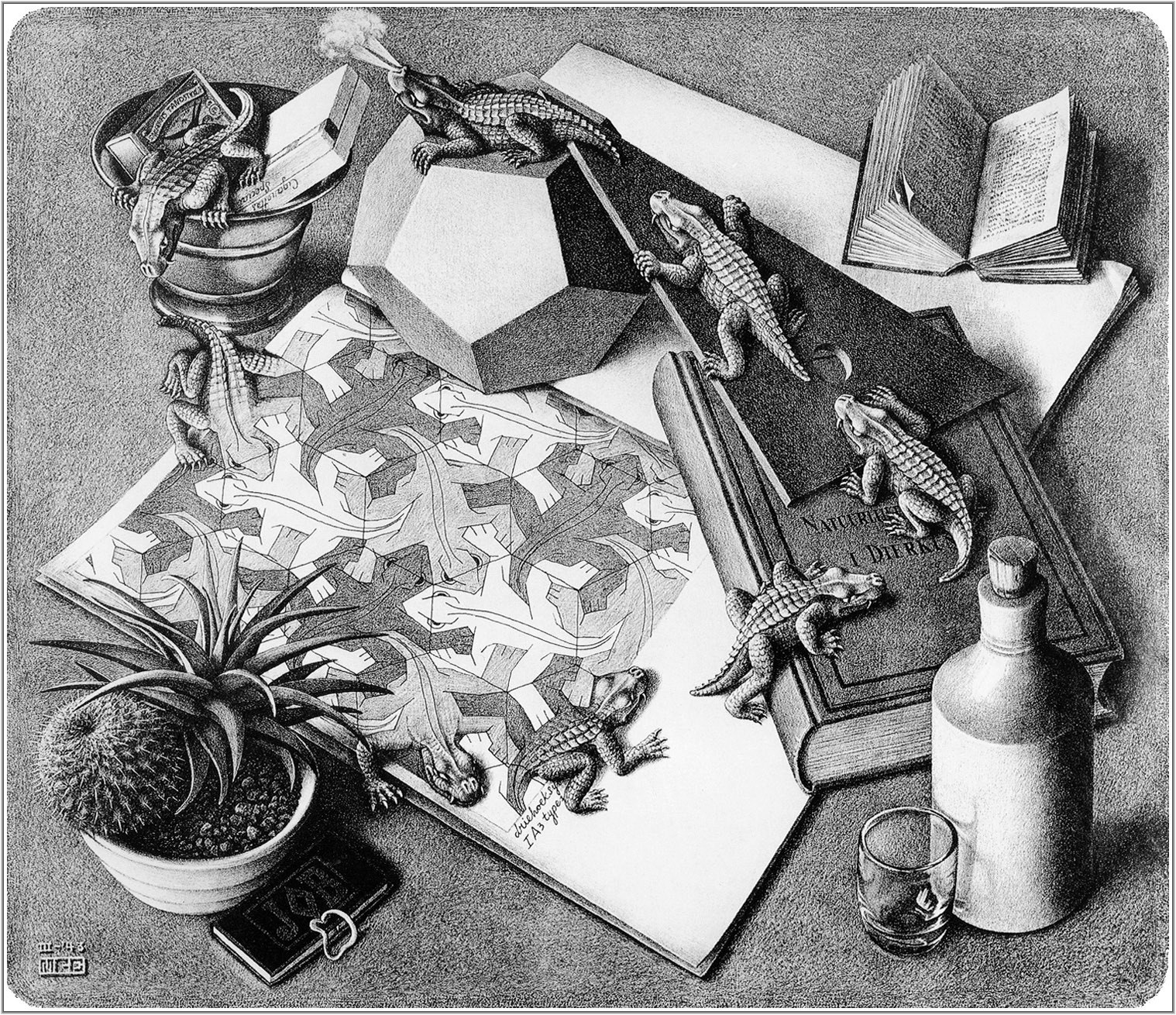 Crocodylous still life