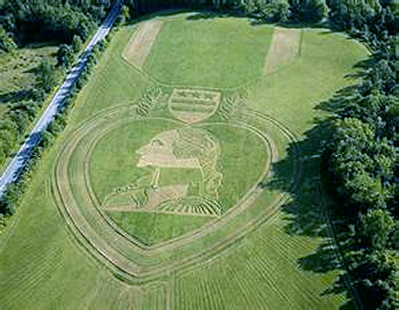 Crop Circle Design — Green, Serene, Afternoon, Photograph