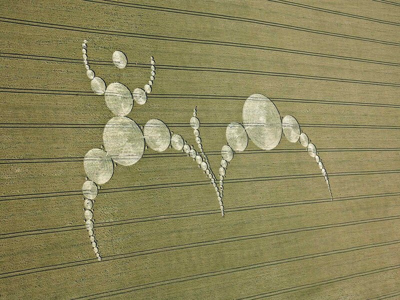 Crop Circle Design — Green