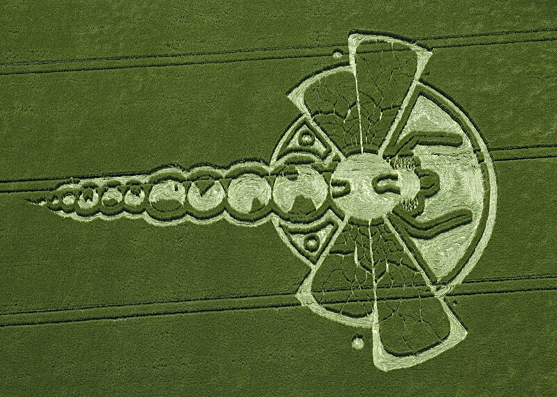 Crop circle design in field