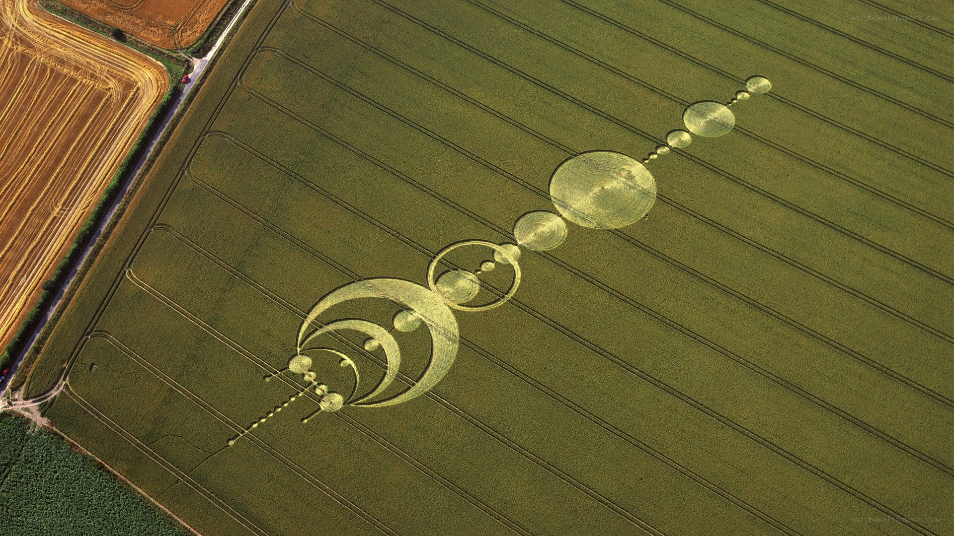 Crop circle formation in field