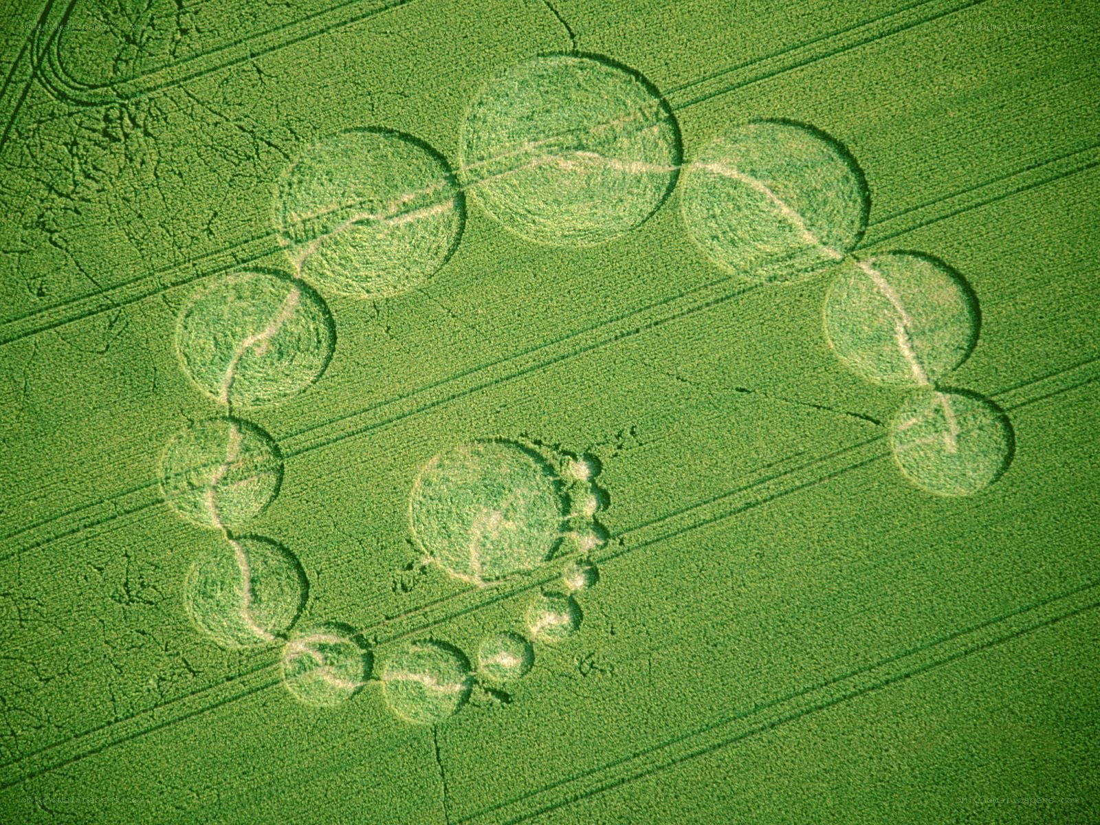Crop circle formation in field