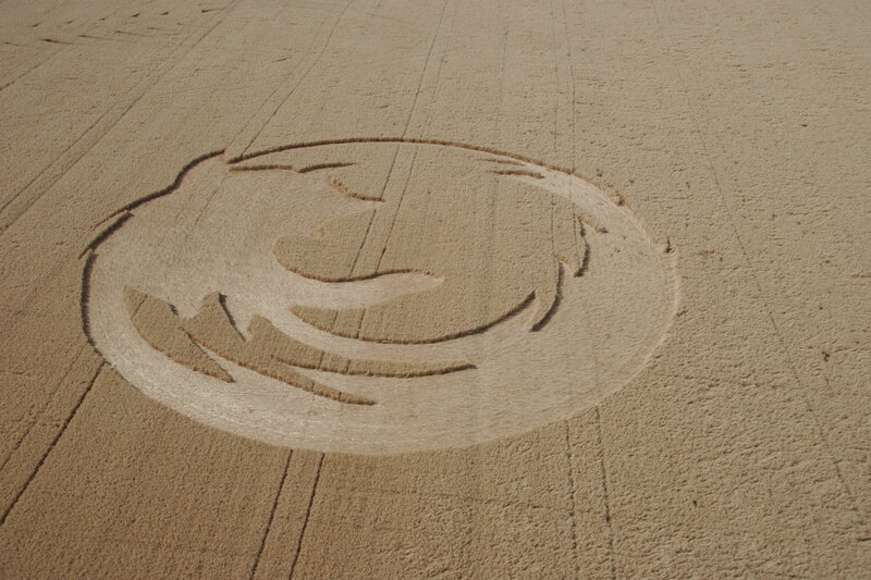 Crop circle in a field