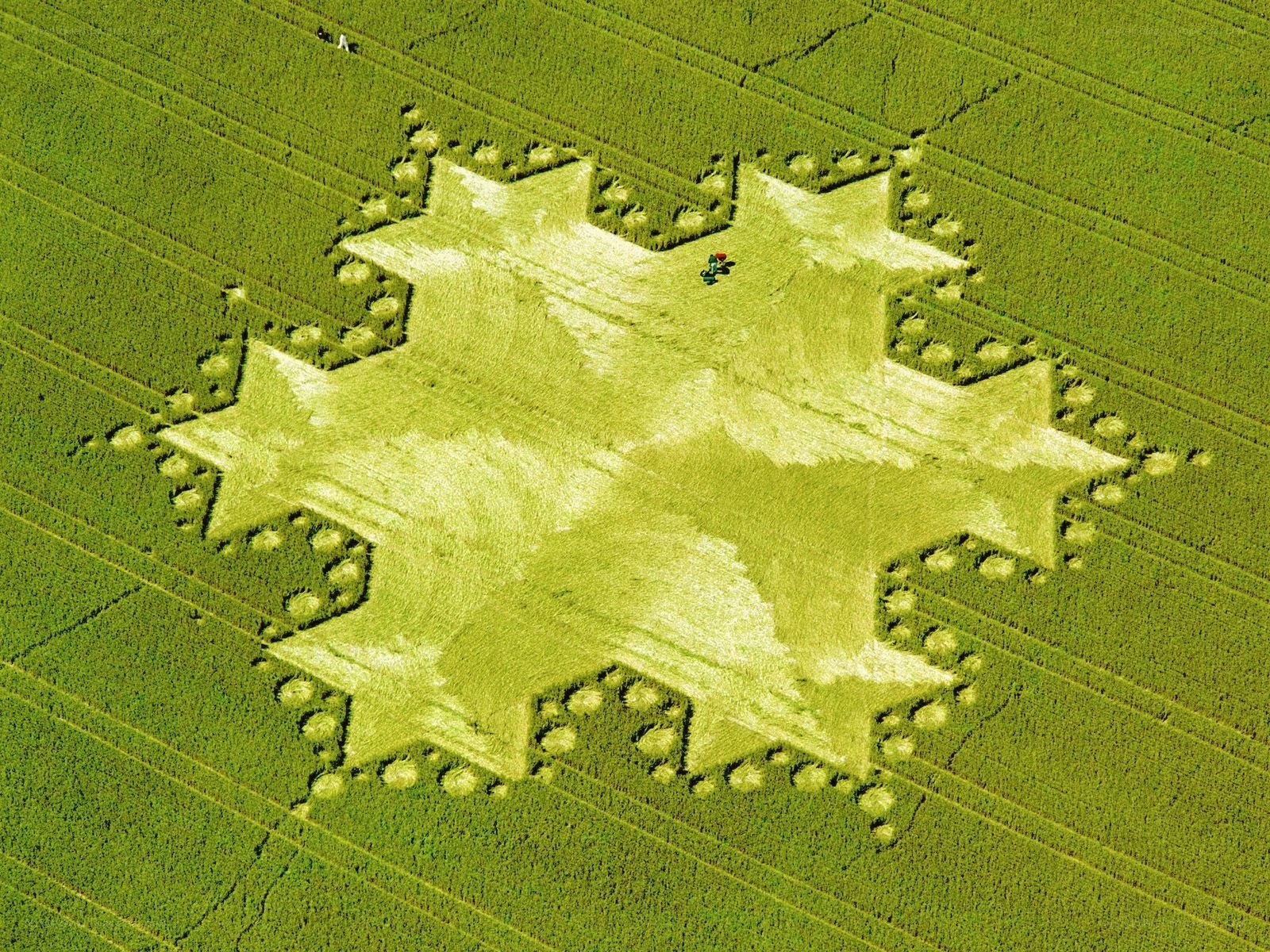 Crop circle in a field