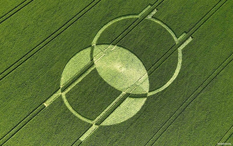 Crop circle in a field