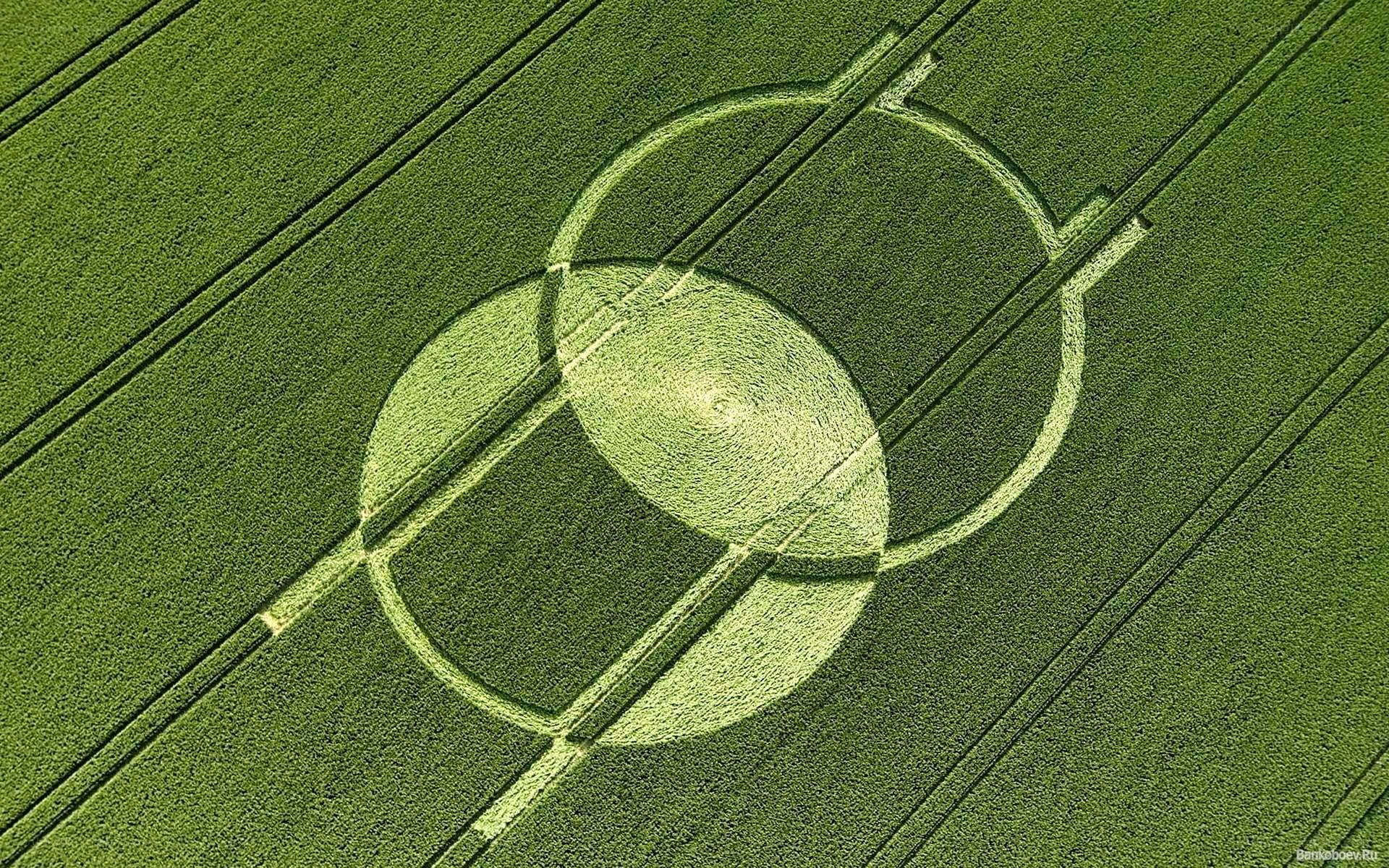 Crop circle in a field