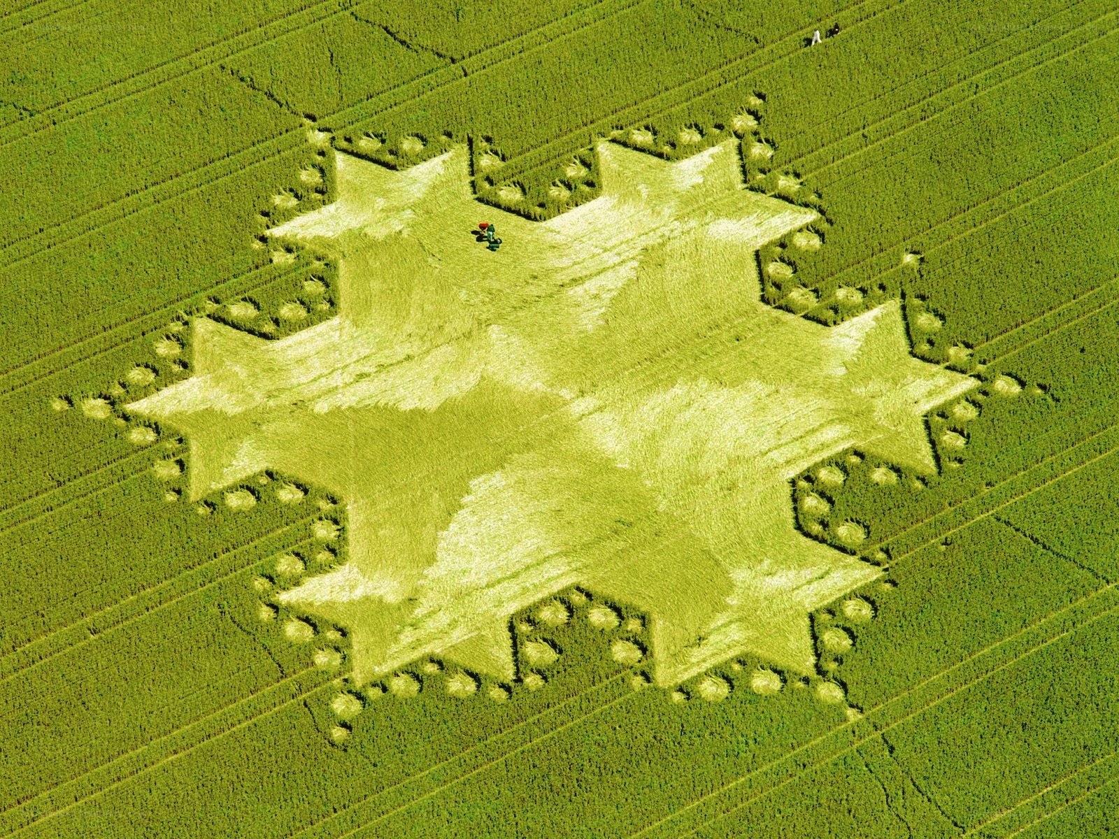 Crop circle in a field