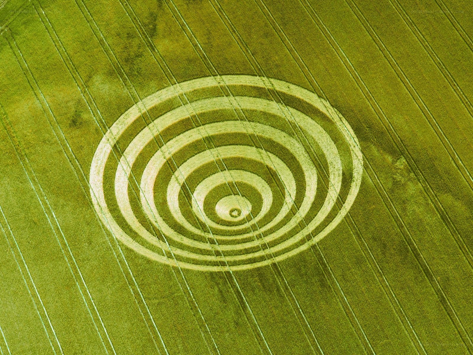 Crop circle in a field