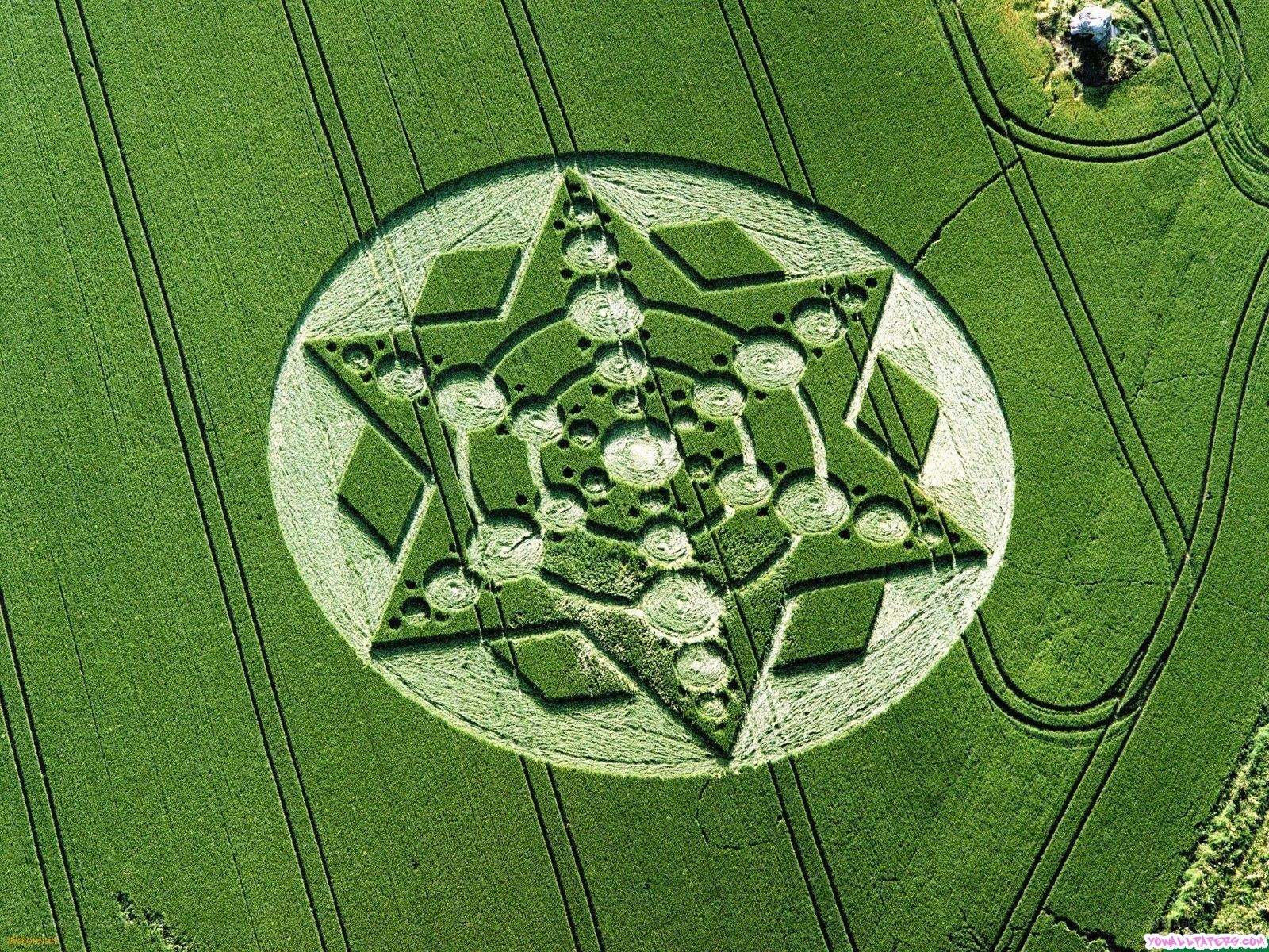 Crop circle in a field