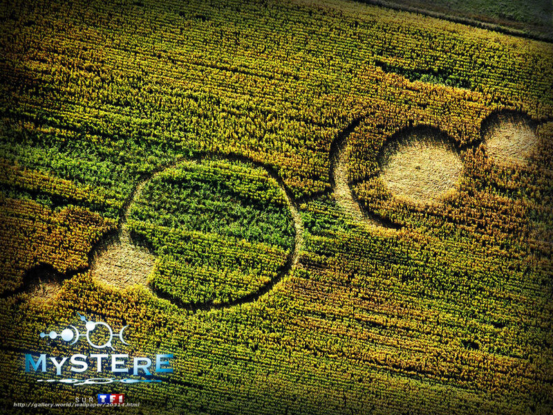 Crop circle in a field