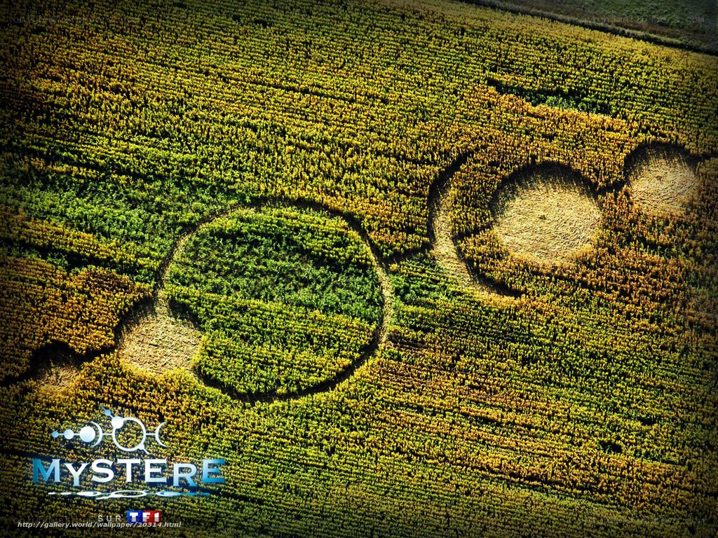 Crop circle in a field