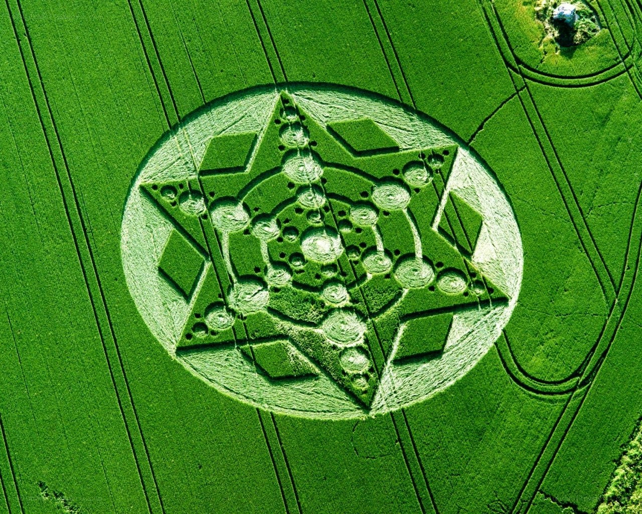 Crop circle in a green field