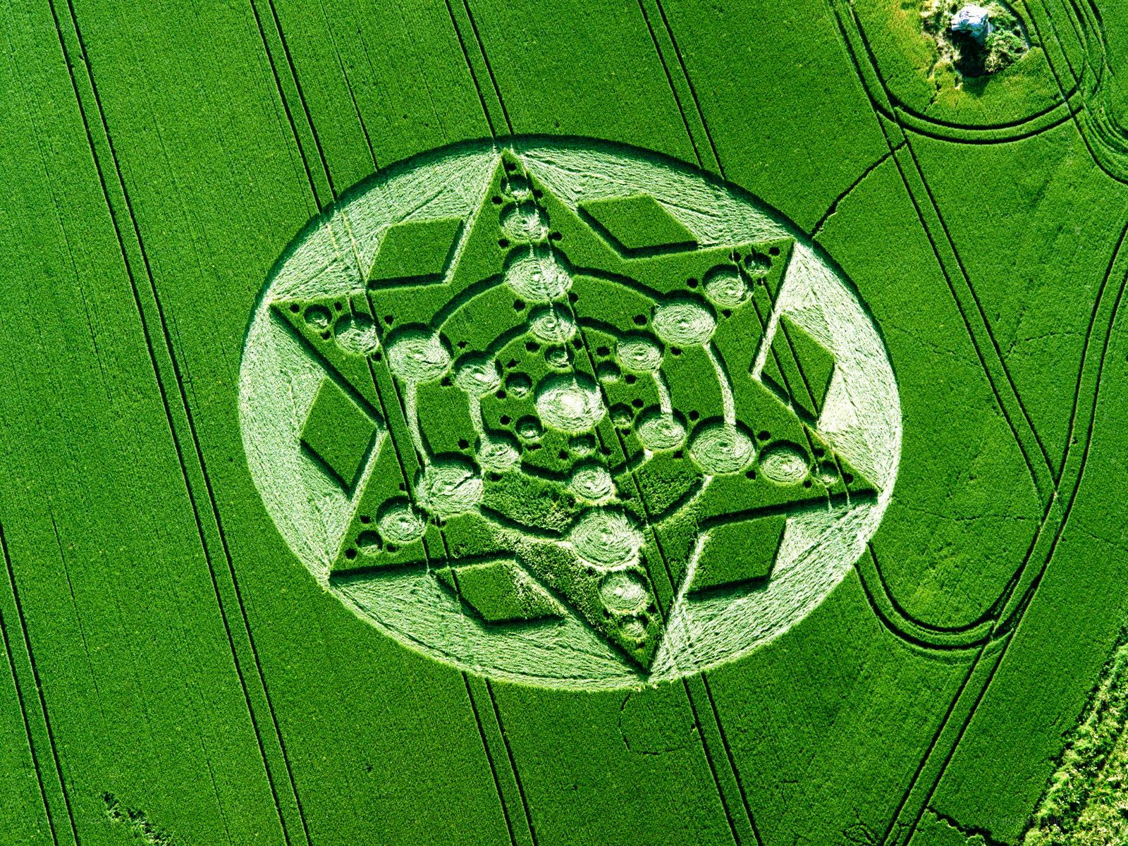 Crop circle in a green field