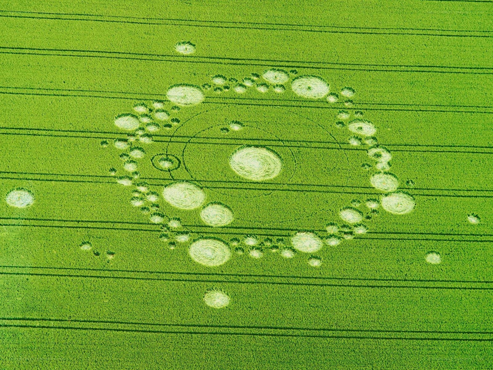 Crop circle in a green field
