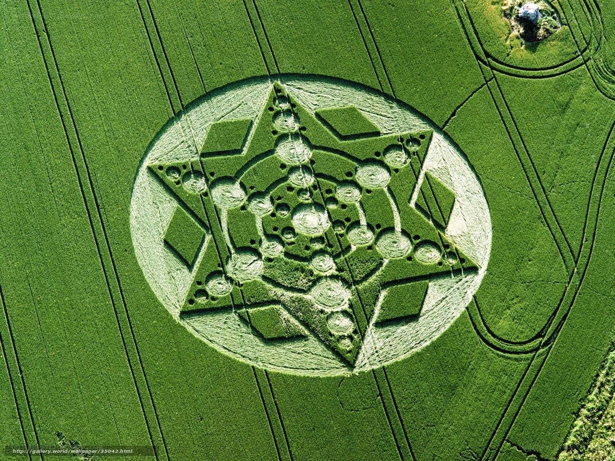 Crop circle in a green field