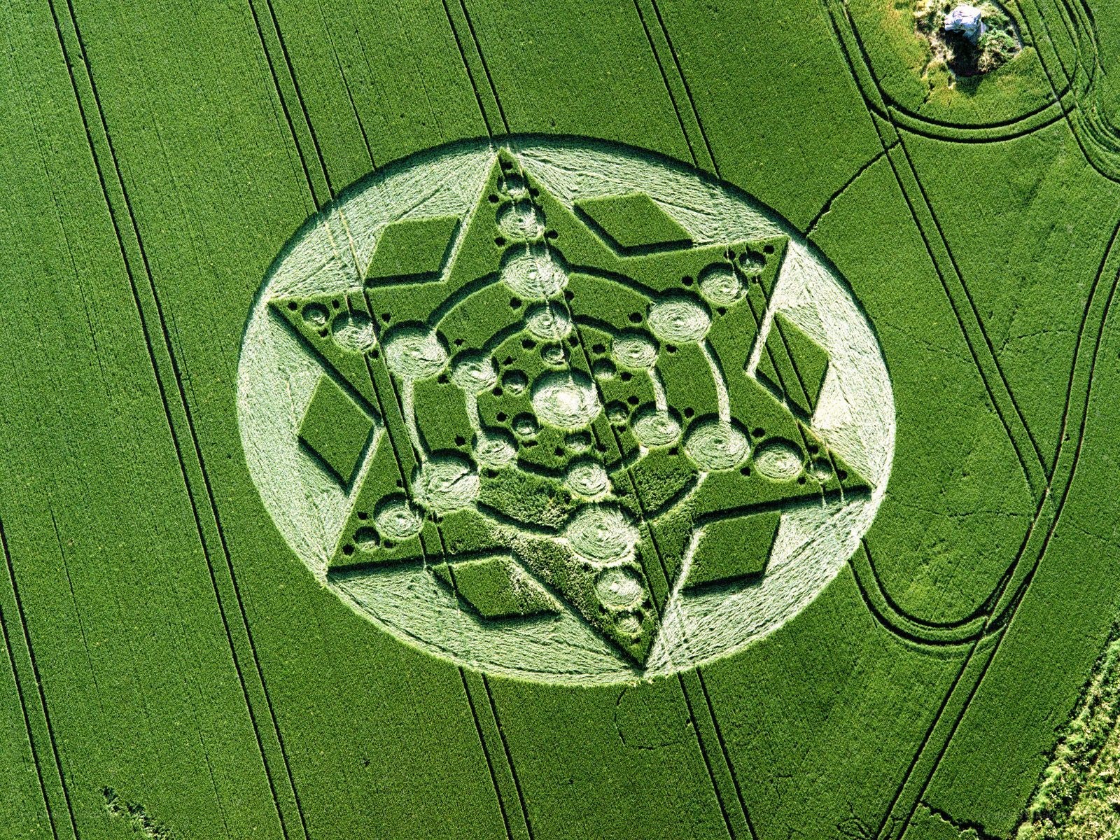 Crop circle in a wheat field