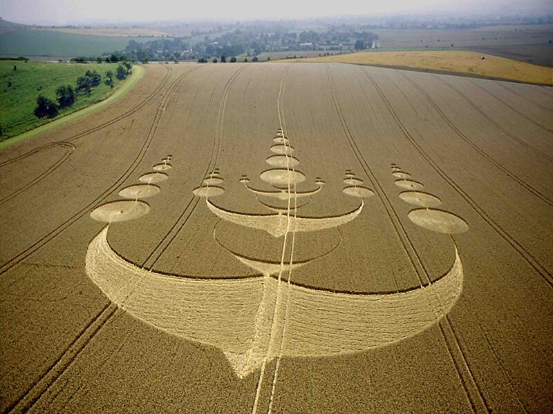 Crop Circle in Field — Brown, Serene