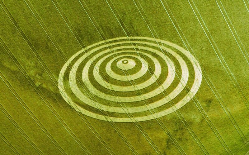 Crop Circle in Field — Green, Serene, Afternoon, Photograph, Circles