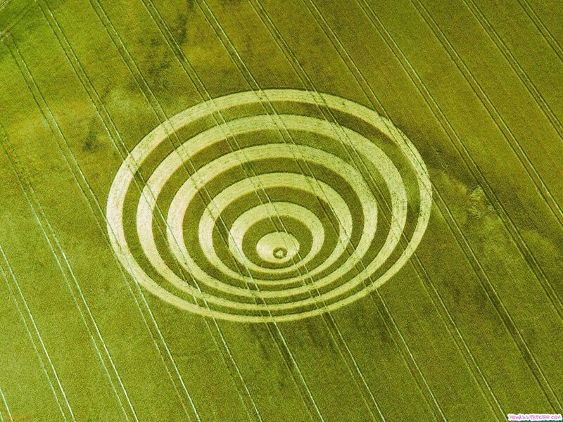 Crop Circle in Field — Green, Serene, Afternoon, Photograph, Circles, Wheat