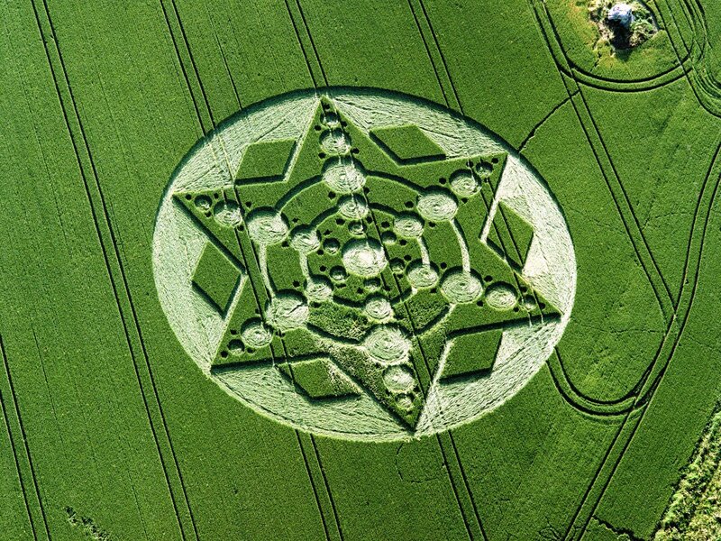 Crop Circle in Field — Green, Serene, Afternoon, Photograph, Wheat
