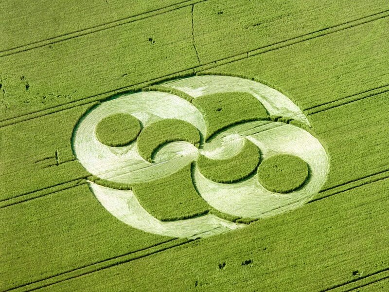 Crop Circle in Field — Green, Serene, Afternoon