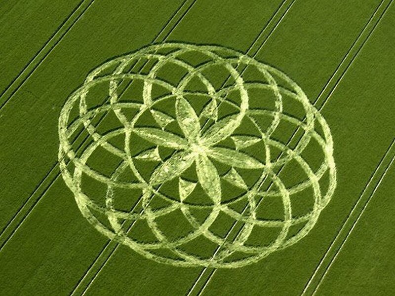 Crop Circle in Field — Green