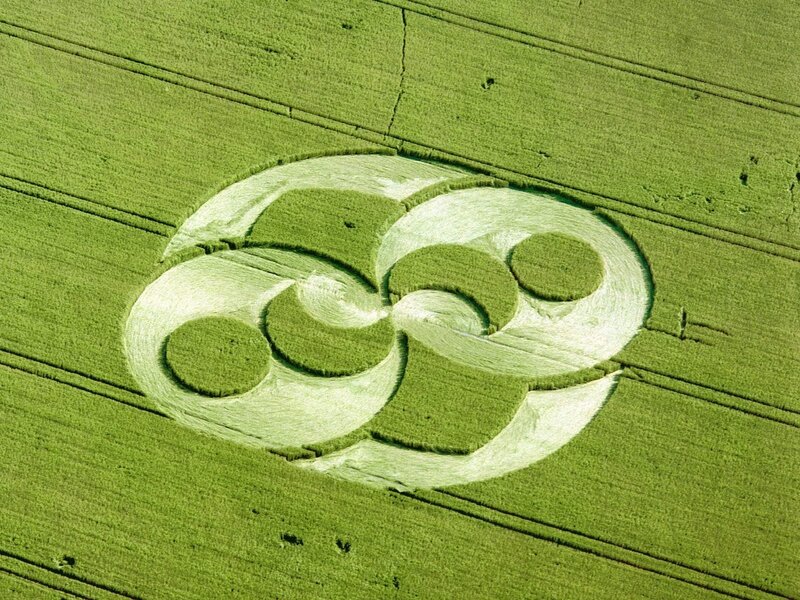 Crop Circle in Field — Photograph