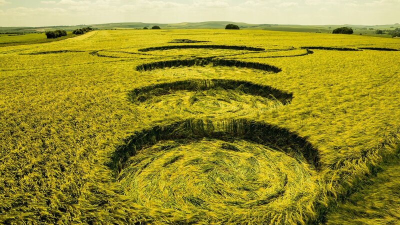 Crop Circle in Field — Yellow