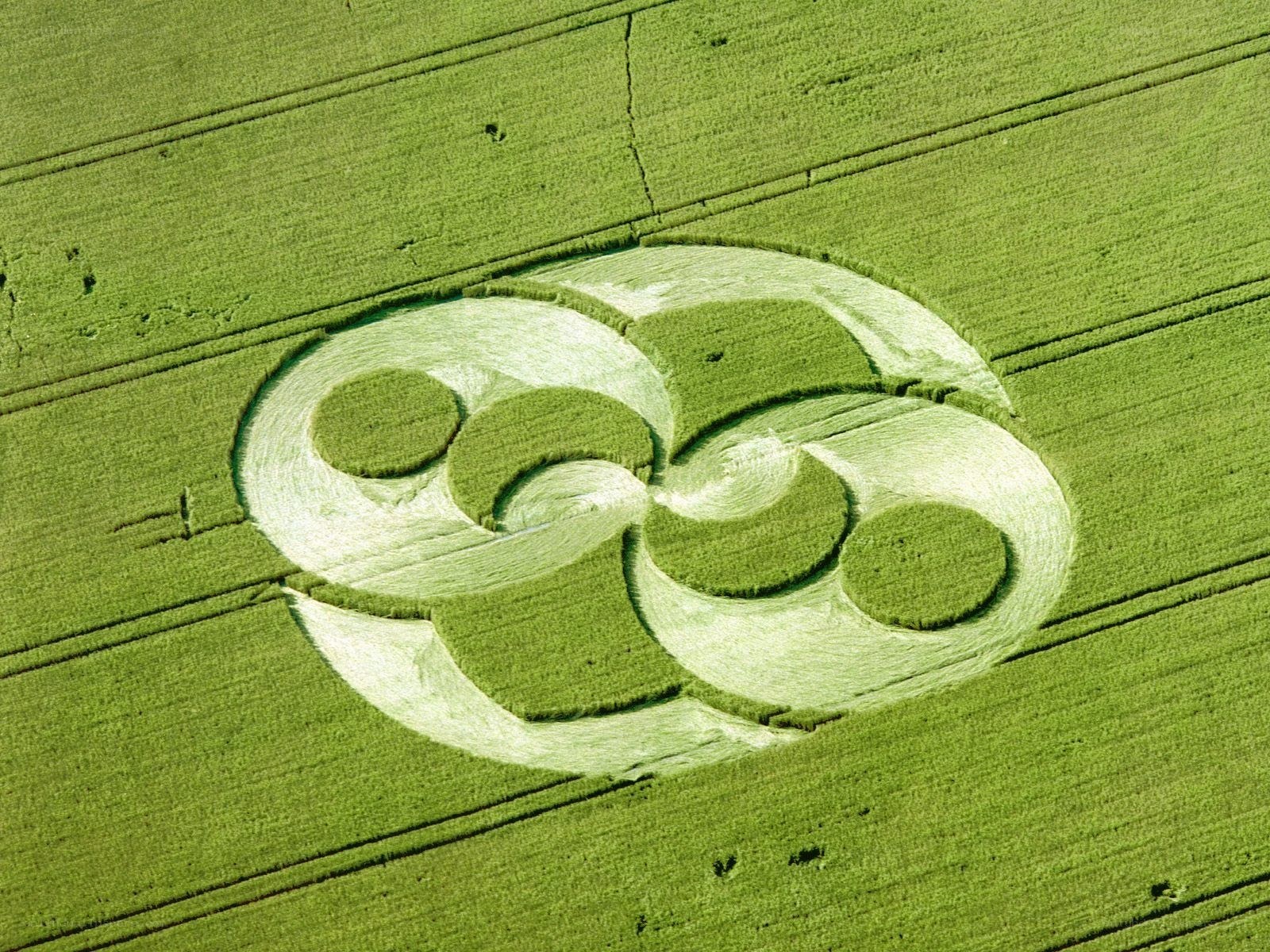 Crop circle in green field