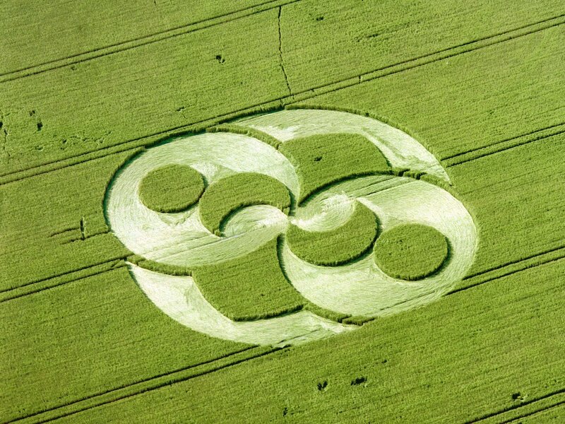 Crop circle in green field