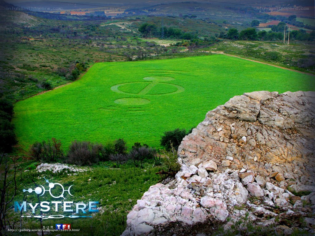 Crop circle in green field
