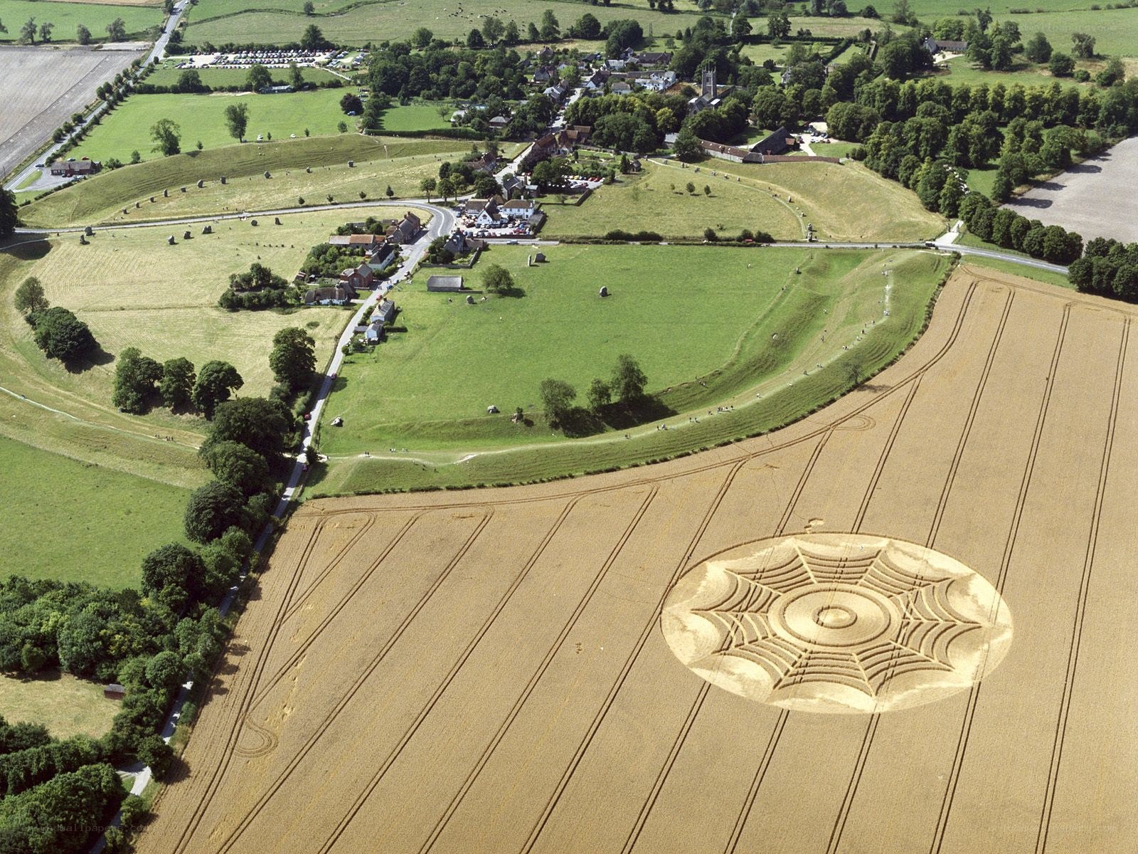 Crop circle in wheat field
