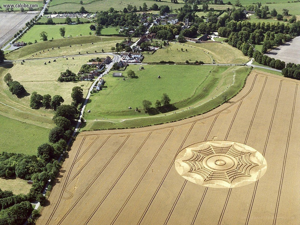 Crop circle in wheat field