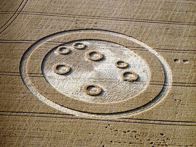 Crop circle in wheat field