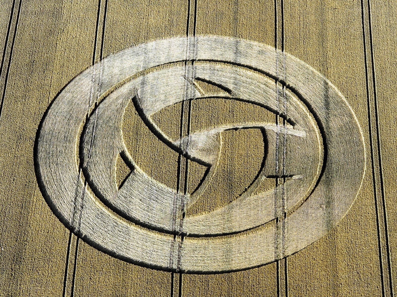 Crop circle in wheat field