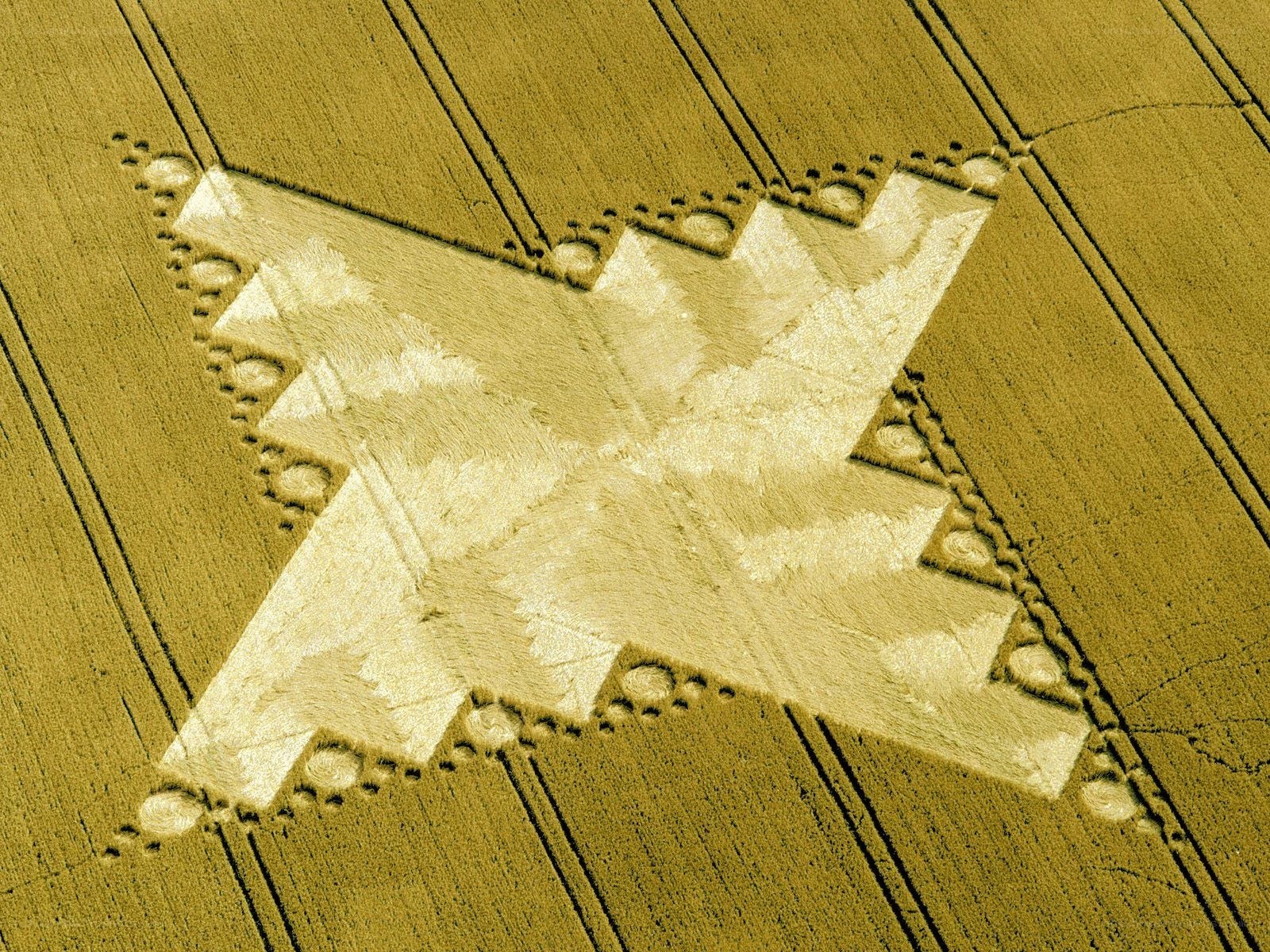 Crop circle in wheat field