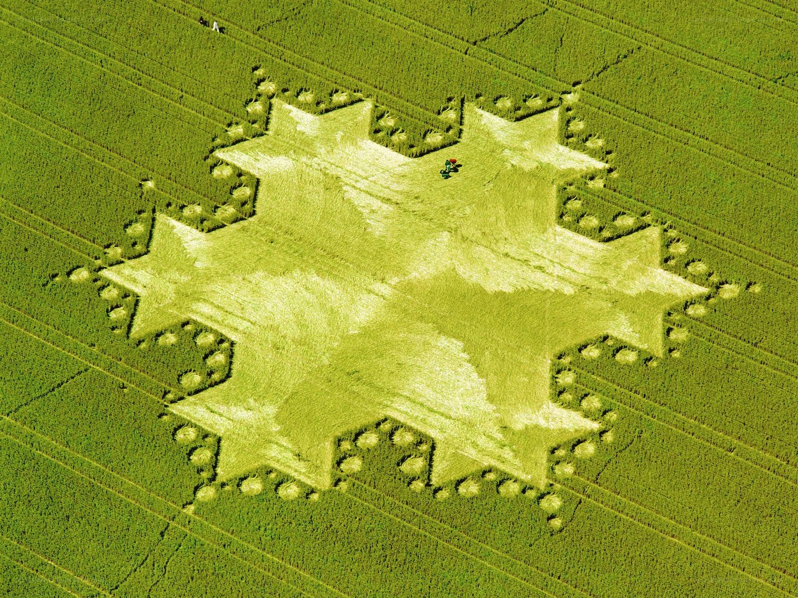 Crop circle in wheat field