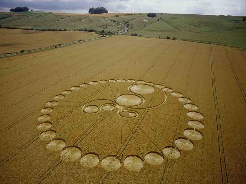 Crop Circle in Wheat Field — Brown, Serene