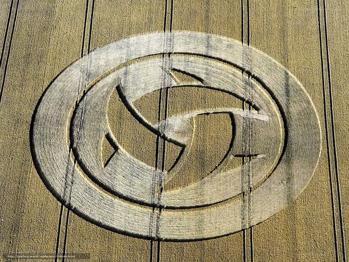 Crop circle in wheat field