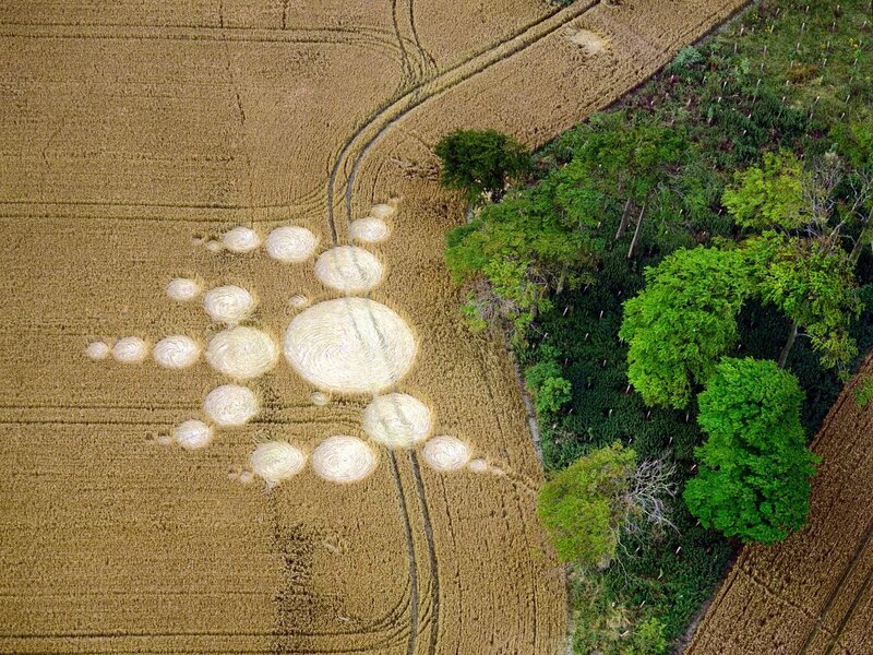 Crop circle sun design