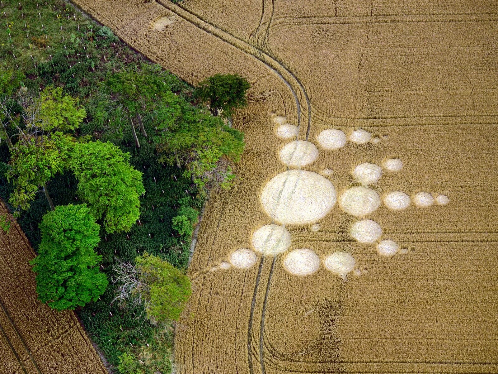 Crop circle sun design