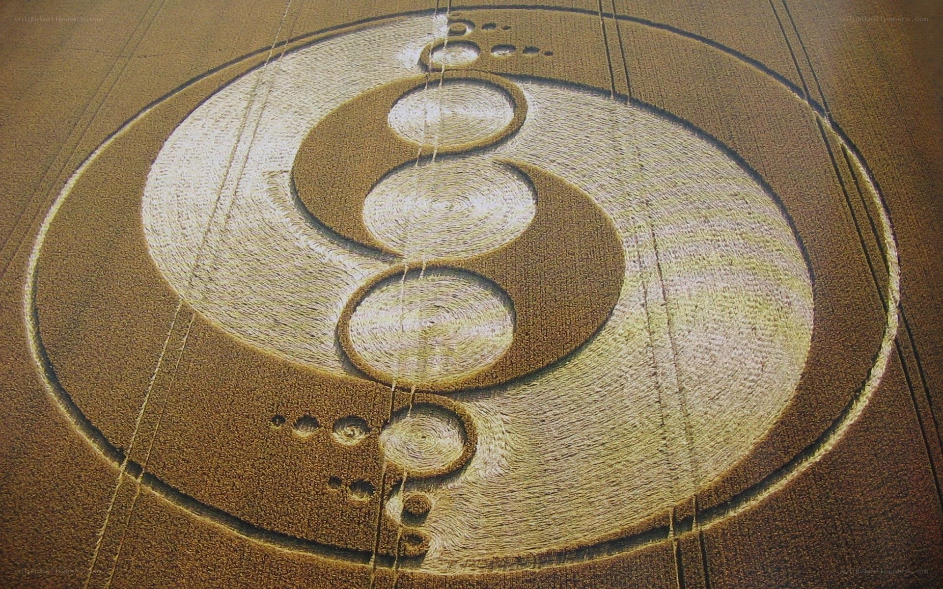 Crop circle with yin-yang design