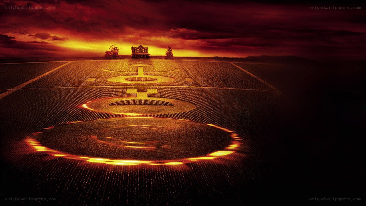 Crop circles in a field at sunset