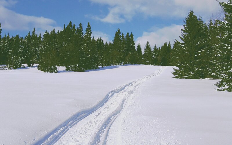 Cross-country Ski Tracks — White