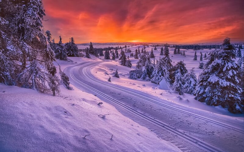 Cross-country Ski Trail — Orange