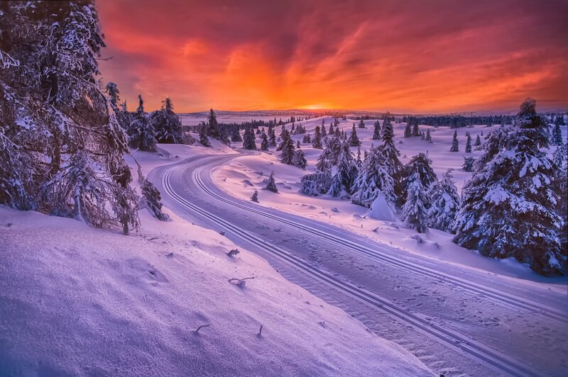 Cross-country Ski Trail — Red, Dramatic