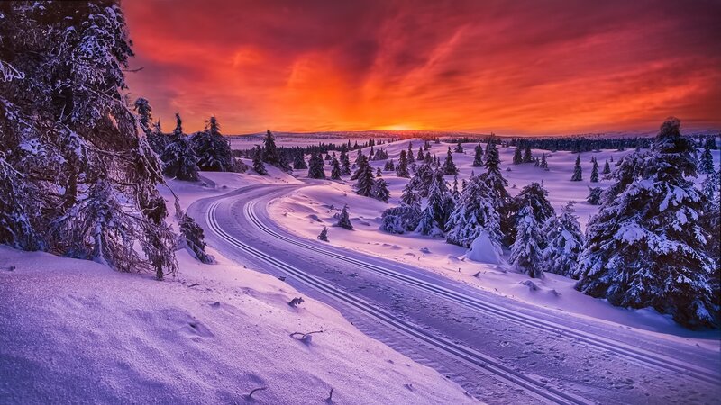 Cross-country Ski Trail — Red, Dramatic, Winter, Photograph