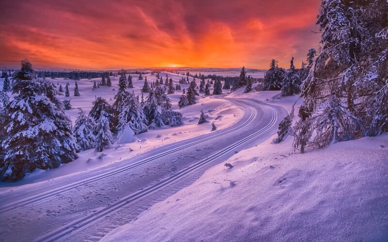 Cross-country Ski Trail — Red