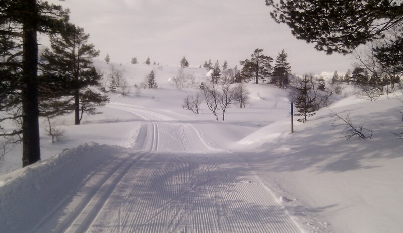 Cross-country Ski Trail